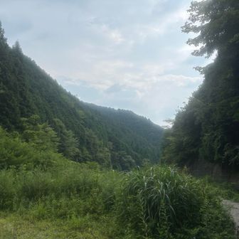 チョット雲増えて来たかな　この後　夕立でした