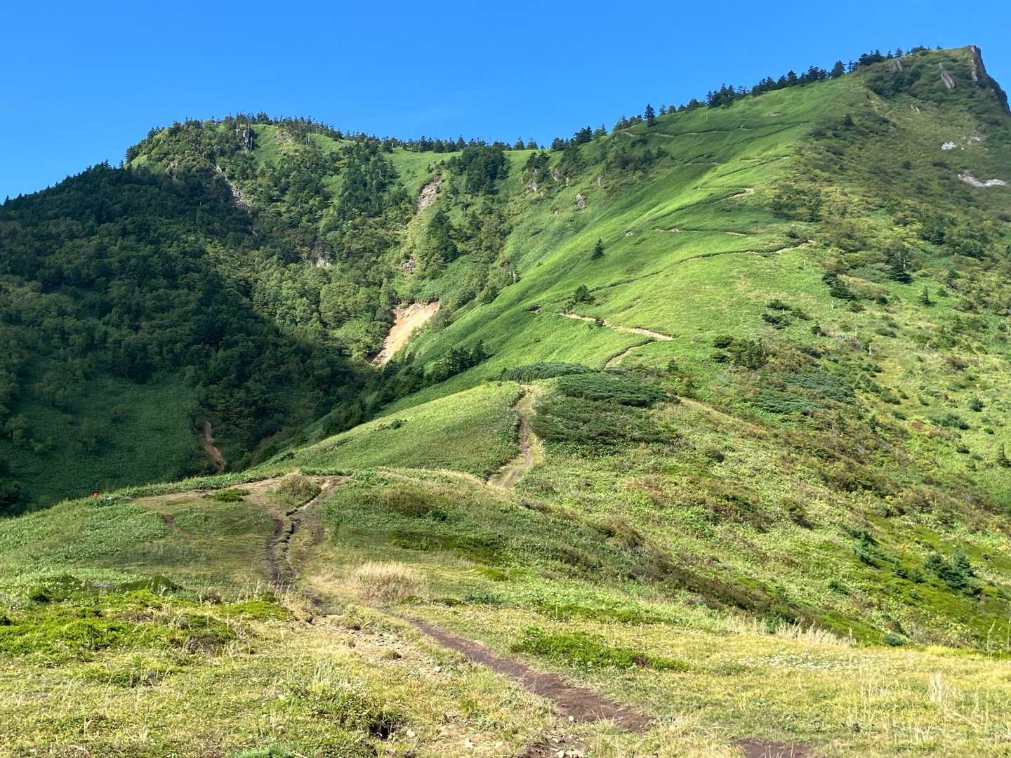 御飯岳登山口-毛無峠-破風岳-土鍋山-毛無山 周回コースの写真