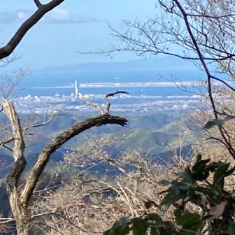 展望台はないが所々の木の隙間から眺望が楽しめる