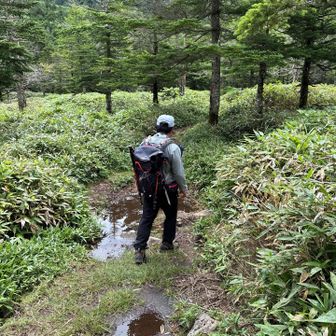 ぐーーっと岩場を降りたらあとはこんな感じの、スタートと同じようなピクニック山道