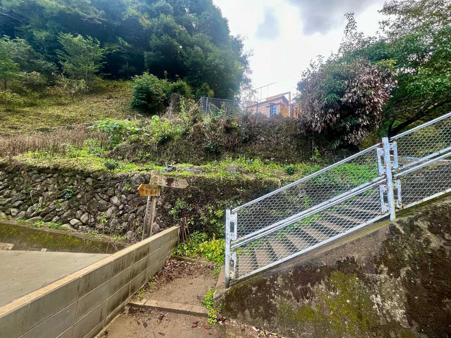 季節の変わり目に、ダイヤモンドトレールで岩湧山への写真