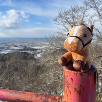馬は可愛いさー😍🐴
今年はPayPayで馬券買えるようになったので、たまに夢を買おうと思っています🐴