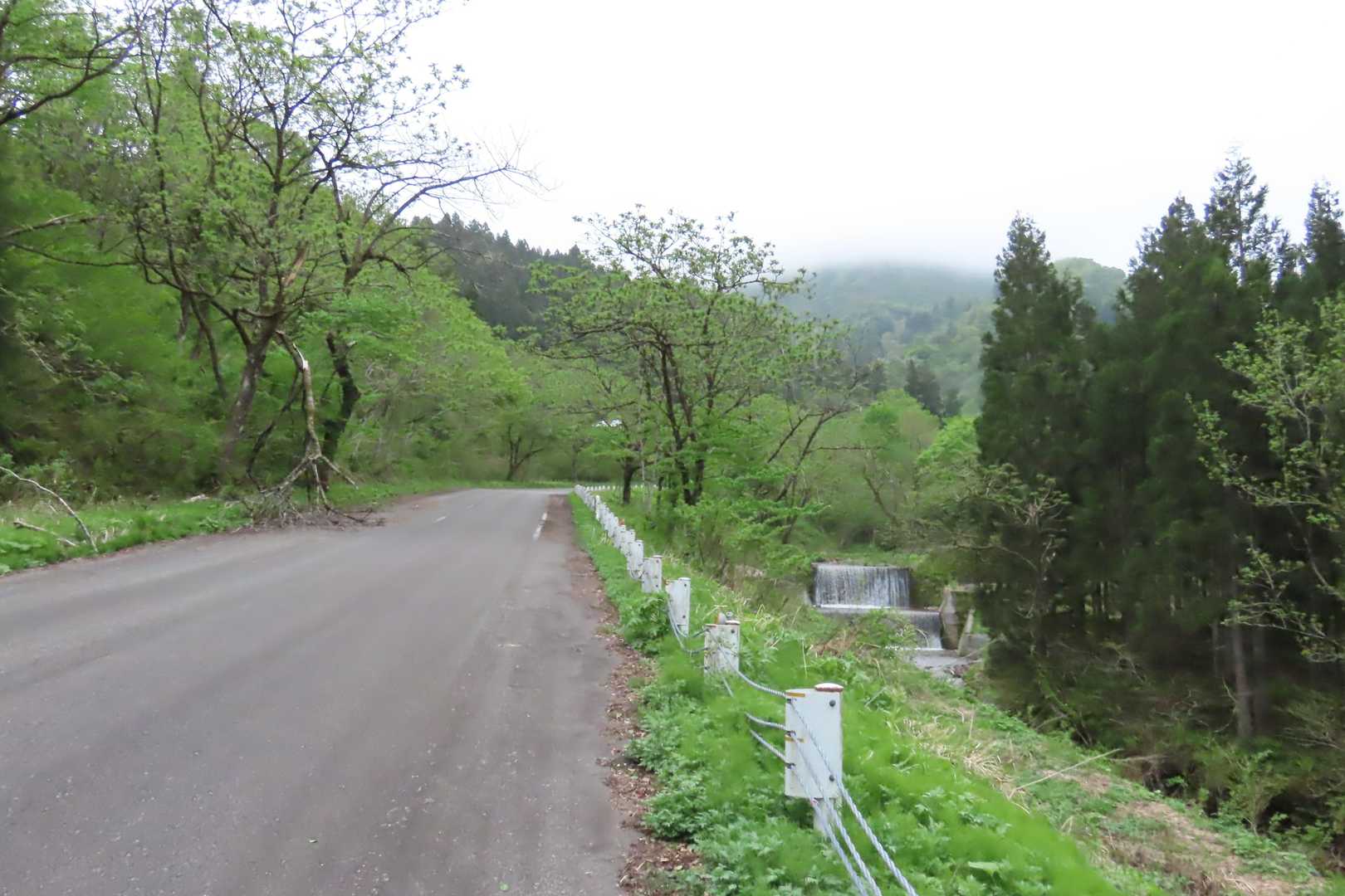 道路を歩いて、
