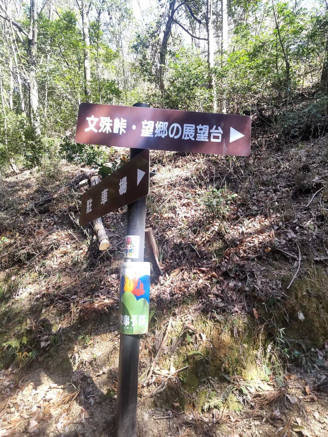 展望台まで   ひたすら木段登る
