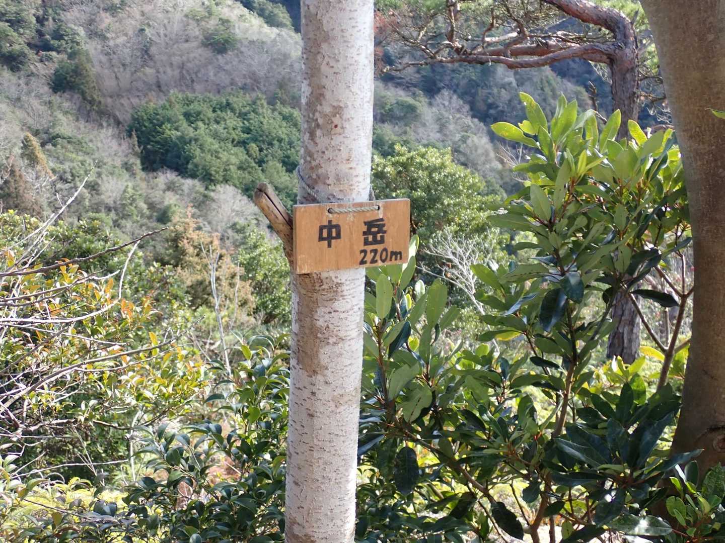 中岳山頂に到着