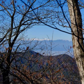 絶妙に見えない😇