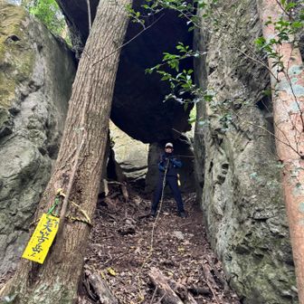 こっちに来てすごいよぉ〜と