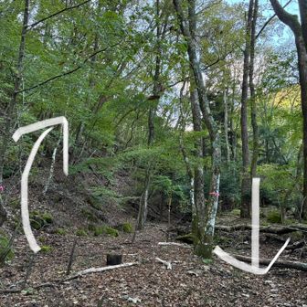 行きは左へ山登って、帰りは川渡って右を歩きました