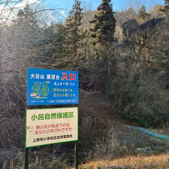 ここから登山道に