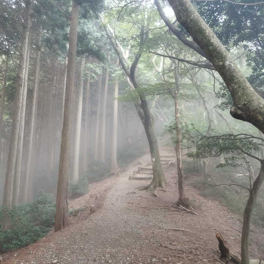 三方山-小倉山 往復コースの写真