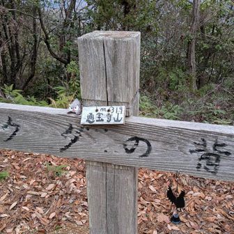 通宝寺山、眺望無し