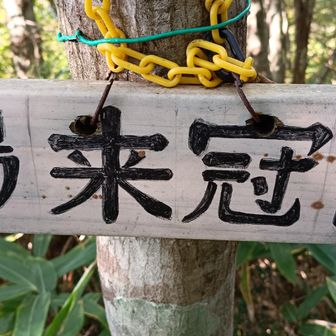 🐸
🐻のプーさんが寝てる