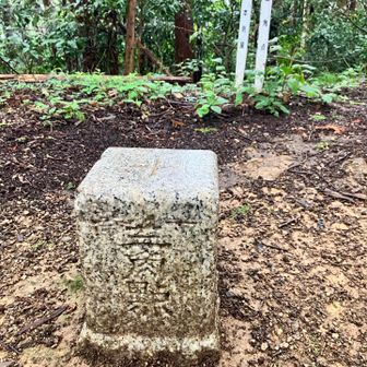 物見山山頂の少し先に一等三角点があります