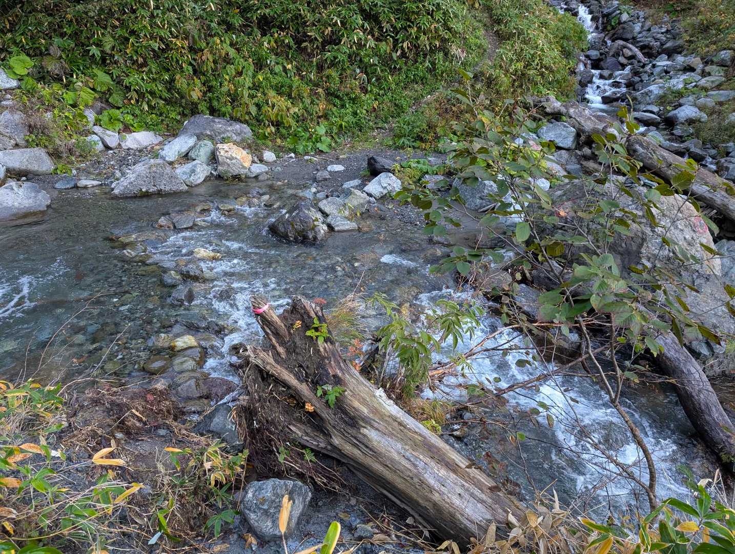 幌尻岳 往復コースの写真