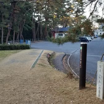 帰ってきました