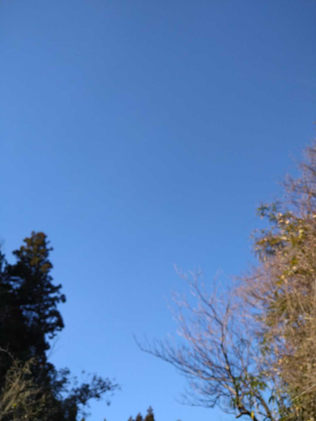 青空✨