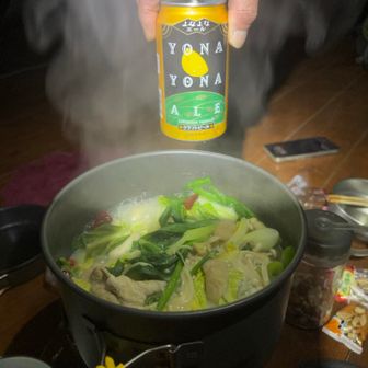 ホルモン塩鍋やりました