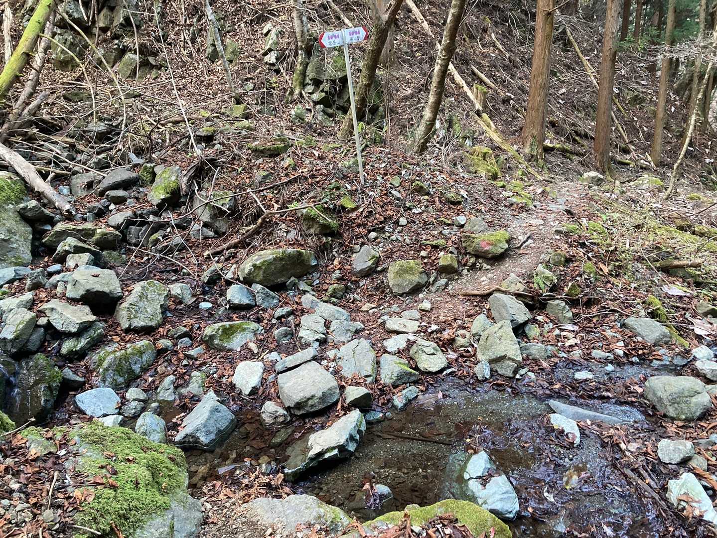 下山の最後の方はずっと沢沿い