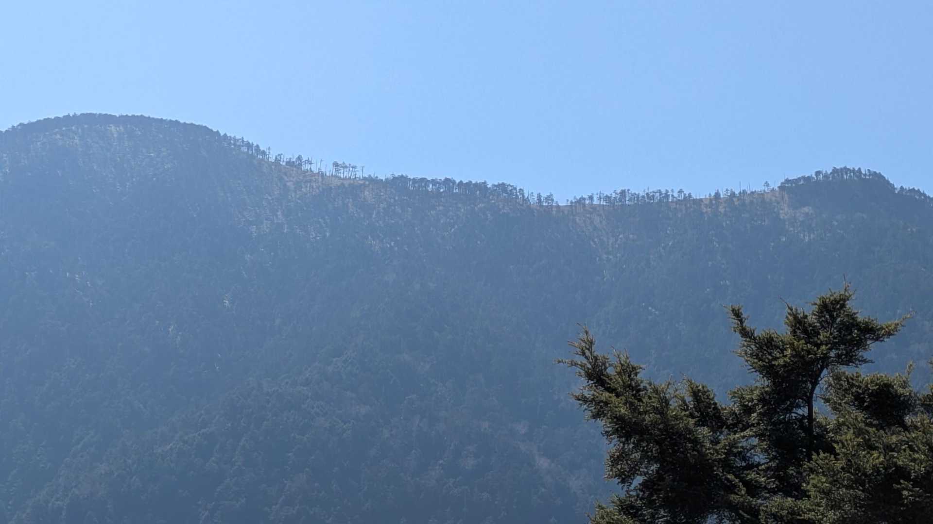 「中ノ尾根山」の南側にいい感じのとこが見える～