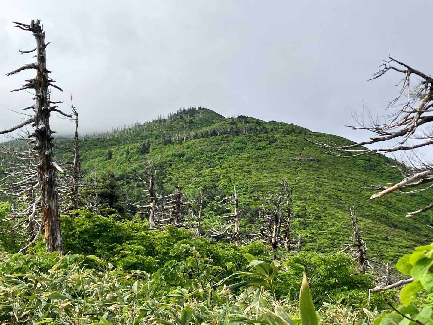 前山