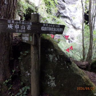 お山巡りとの分岐
