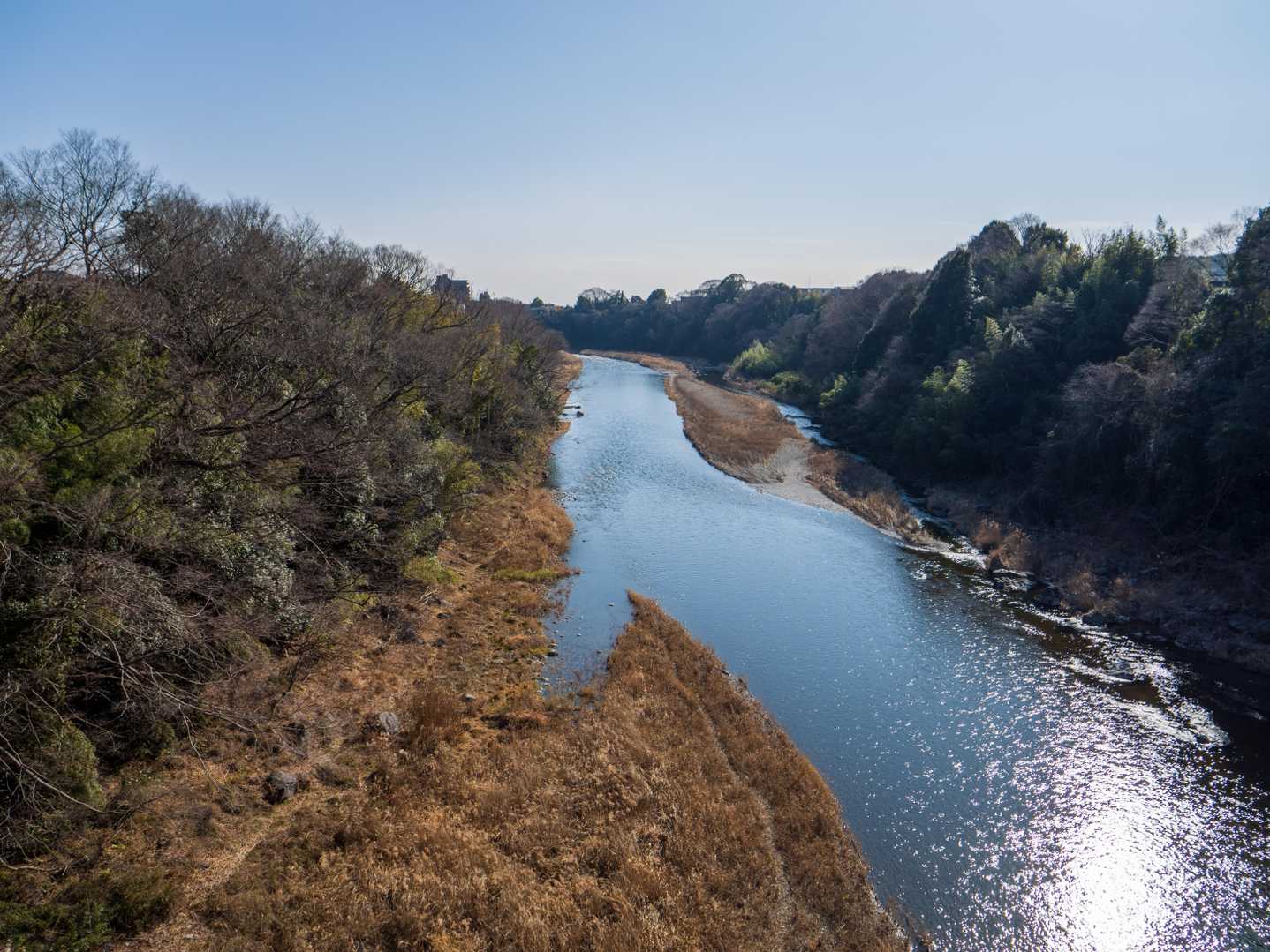 多摩川に映る光が綺麗です