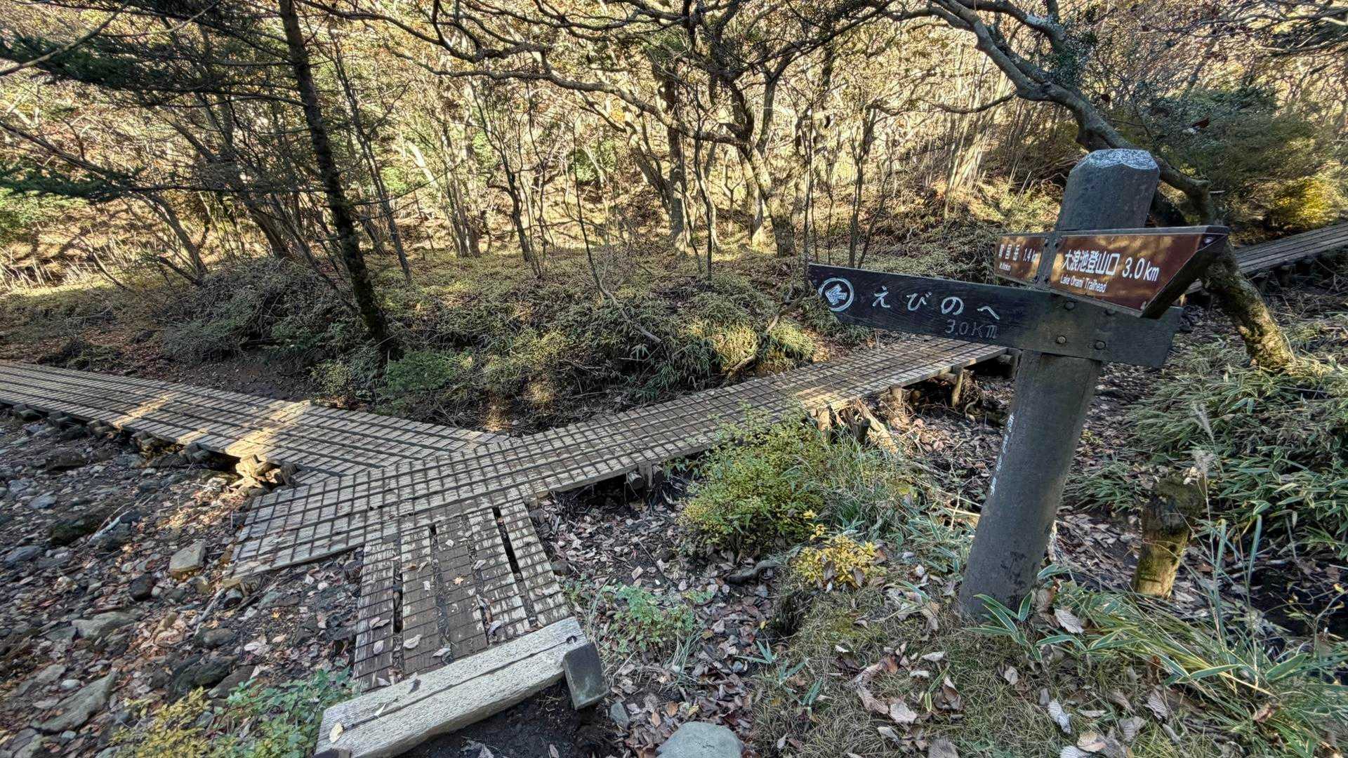 大浪池の火口壁を下って再び最低鞍部に戻ってきた
ここからはえびの高原につながるトレイルを3kmほど下っていく
まだまだ先は長い(笑)
そしてそろそろ日没というかタイムリミットが気になってくる
計画通りだしヘッデンもあるしで大丈夫なのだが、それでも少しでも早く降りたい一心となる(笑)