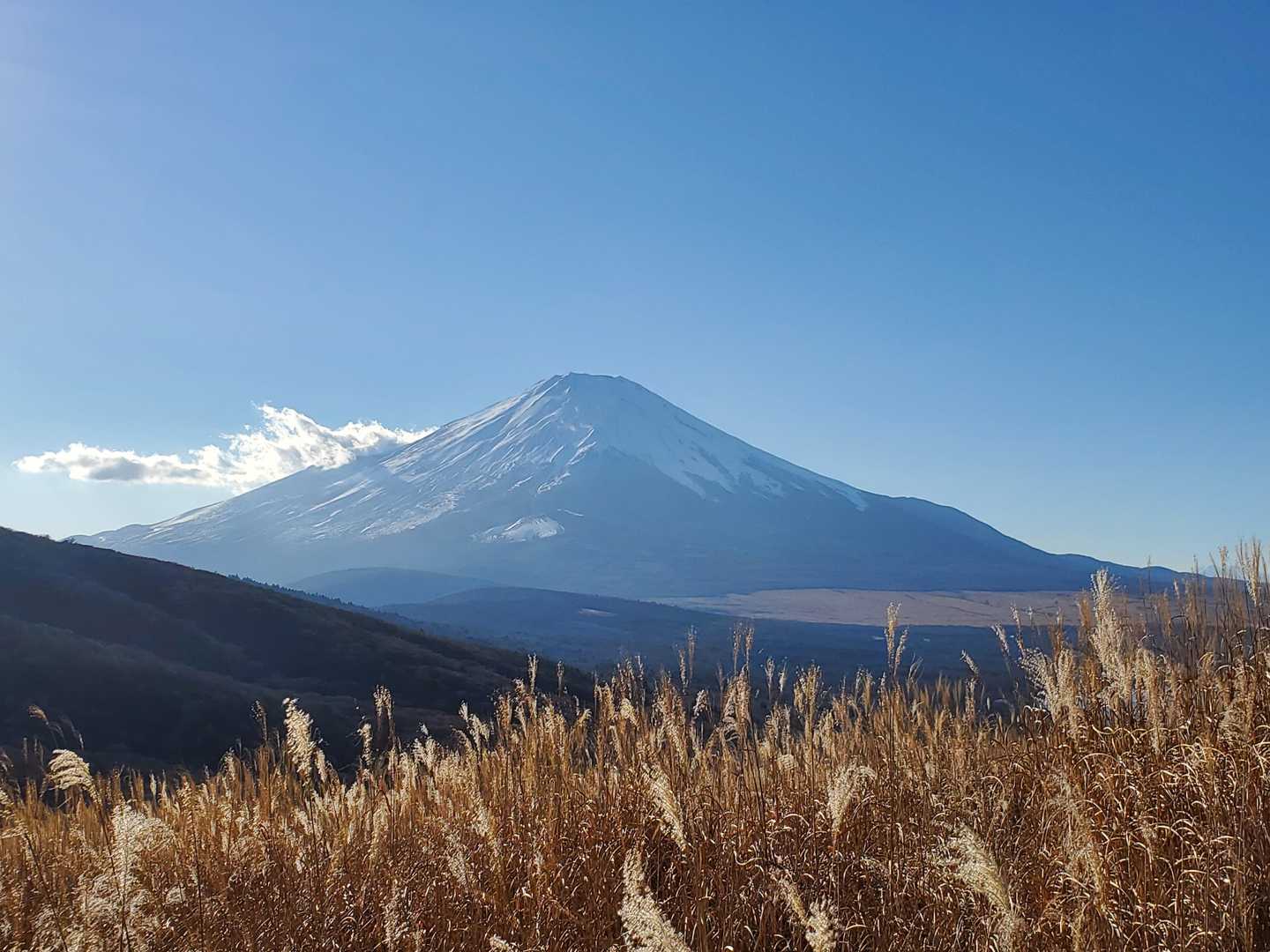 こちらからもいいですね
今日は１日富士山三昧の山歩きになりました😊🗻