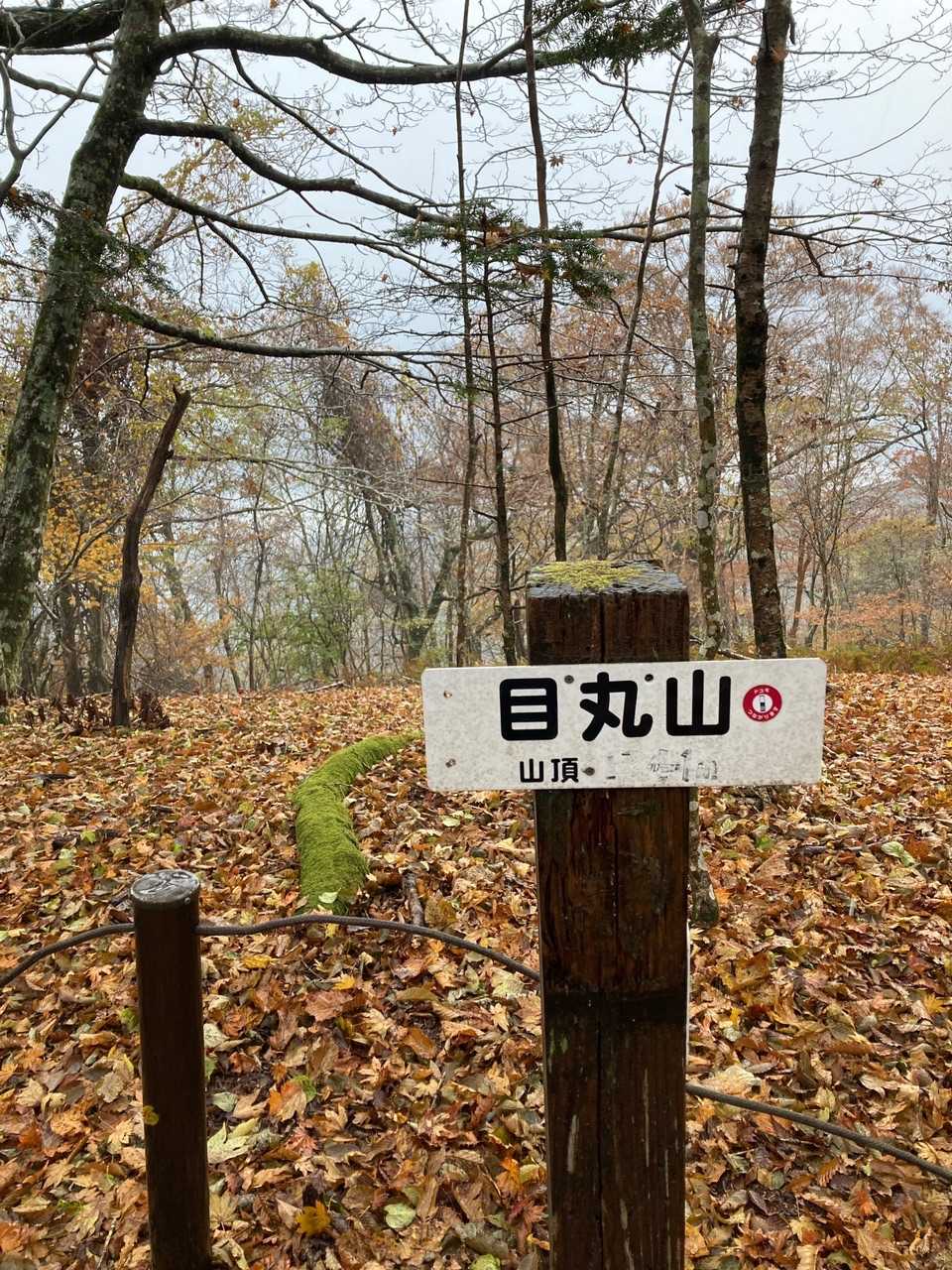 ここまで戻って来ました♪
ゴロゴロが近くなって来た🏃‍♂️💨