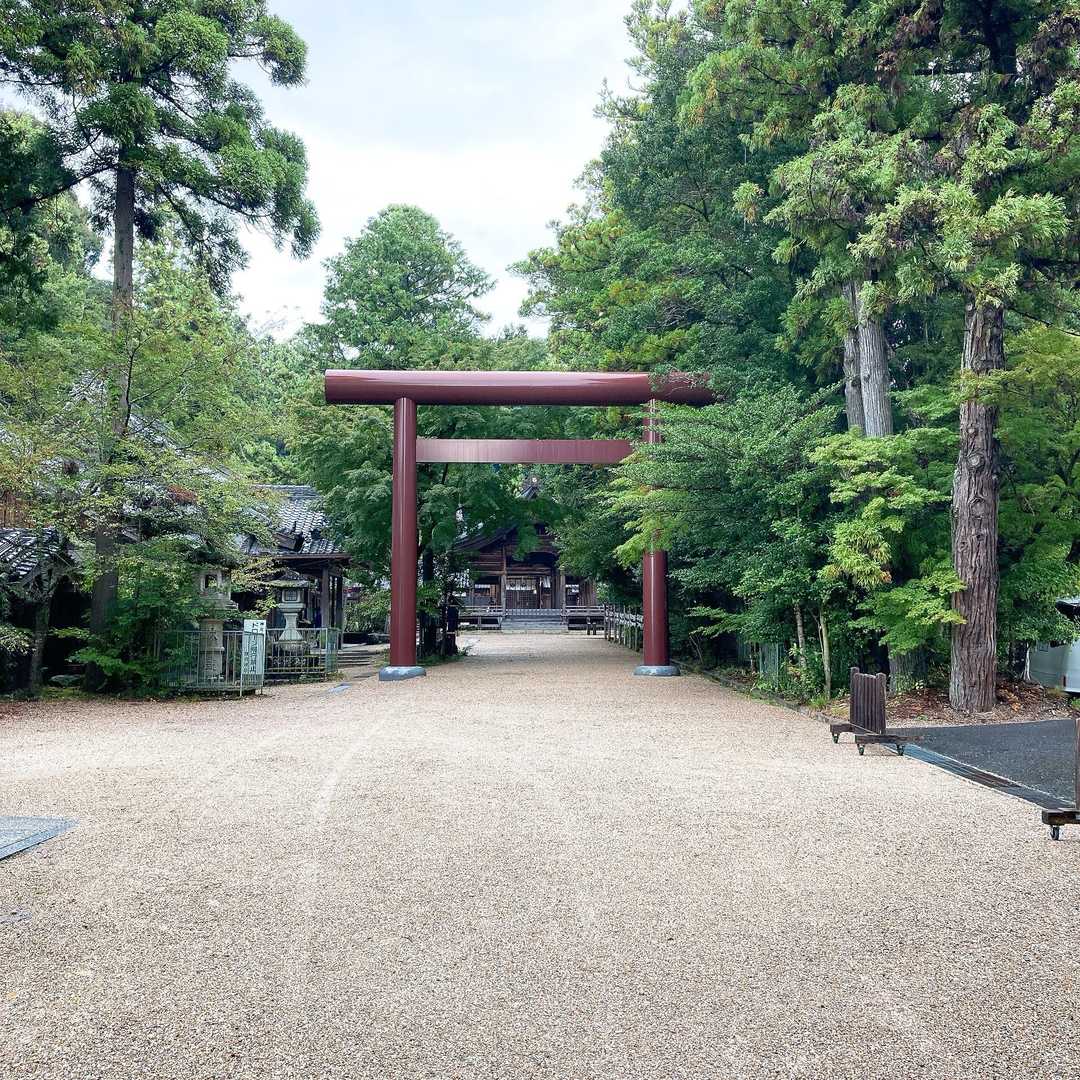 もっと先まで見てみたいのですが雨なので先に進みます
