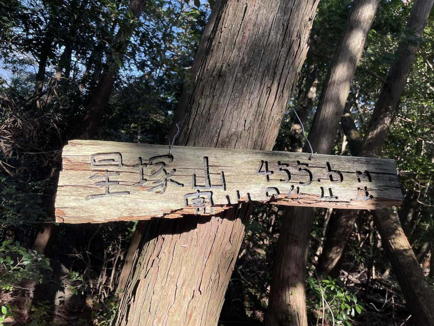 星塚山登頂⛰
彫ってあり可愛い💕

