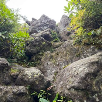 岩が続きます