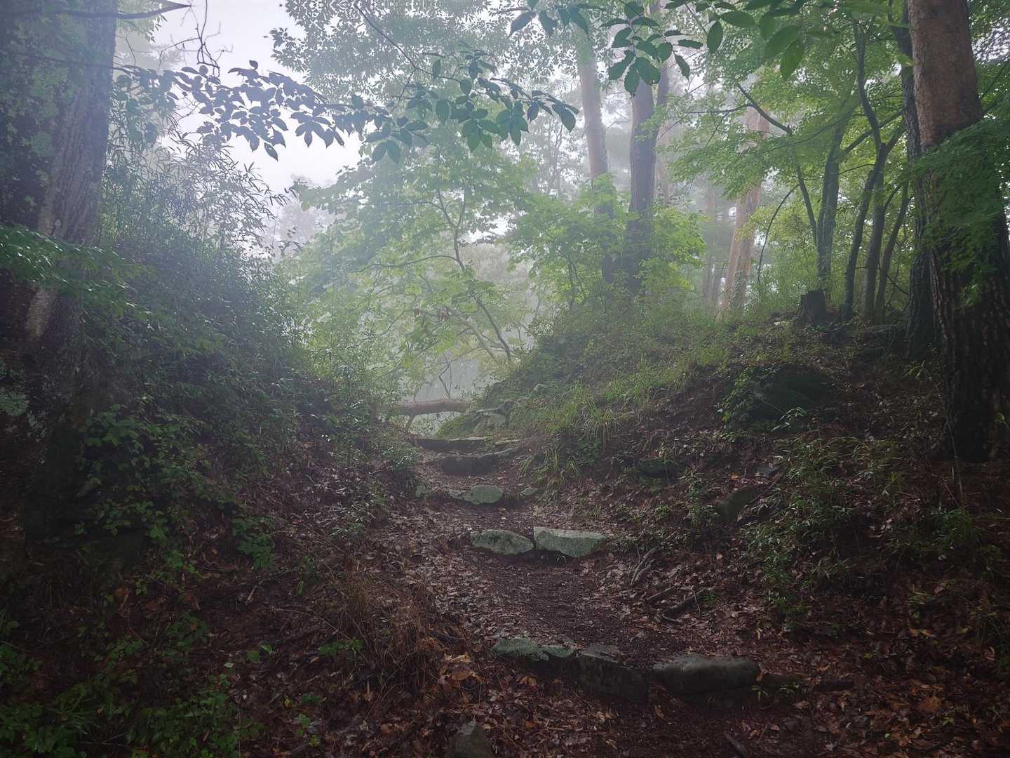要害山登山口-要害山 周回コースの写真