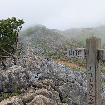 カルスト大地登りきって
【近江展望台】到着
ちょっとガスッてるけど
稜線見えるからよし