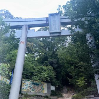 神社の鳥居
