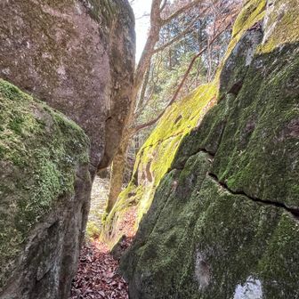 幾つかの窪みが盃状穴か？