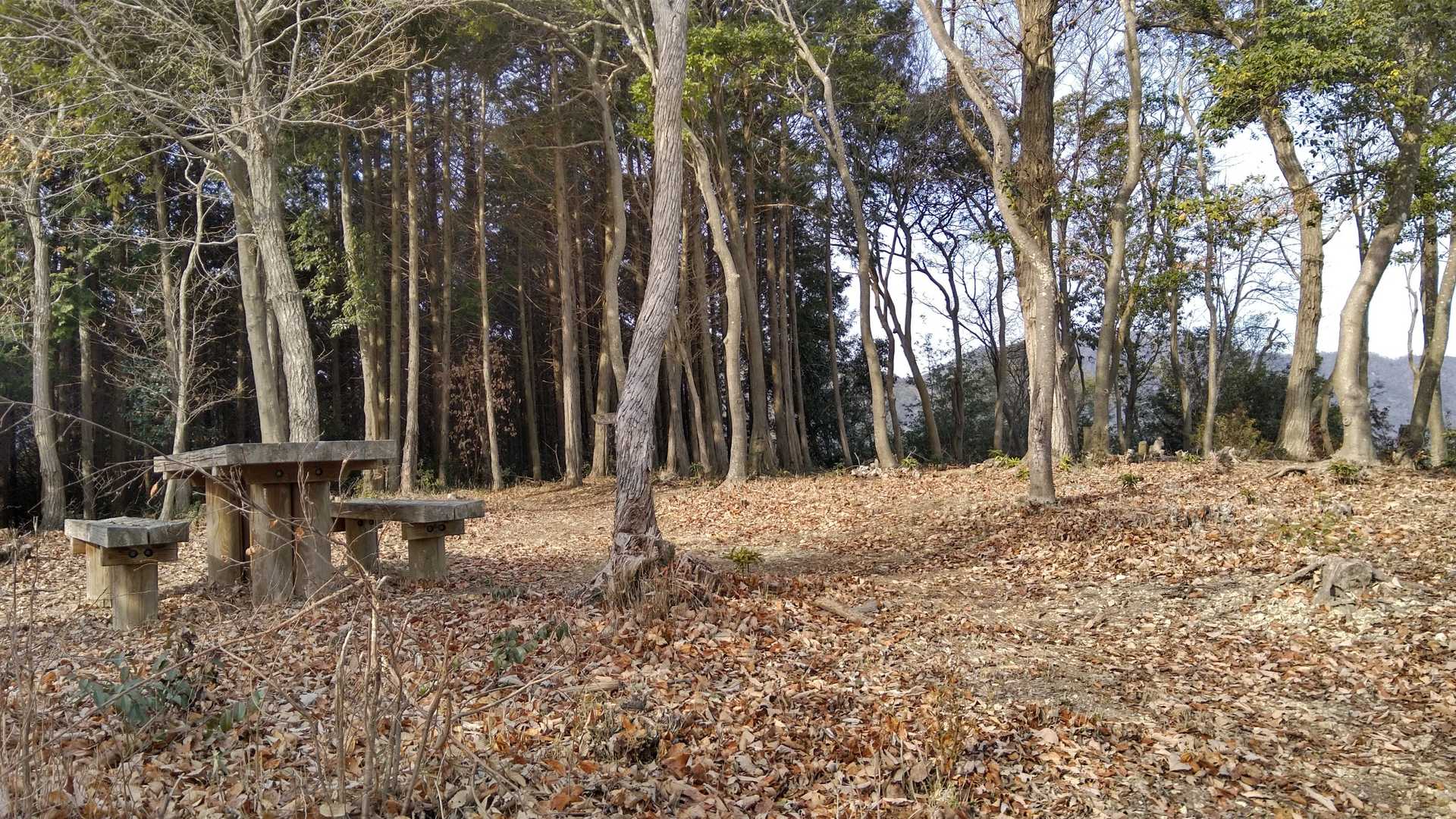 のろし台跡に到着。