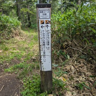 おつかれ山🤗