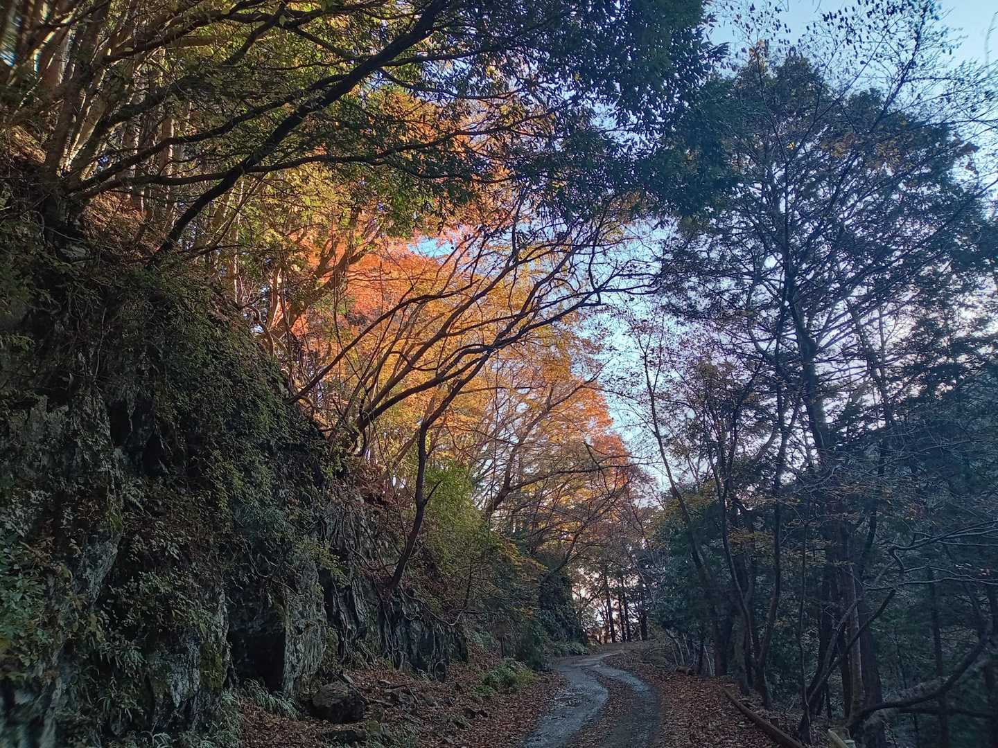 景色は良いけど、長いっ🤣