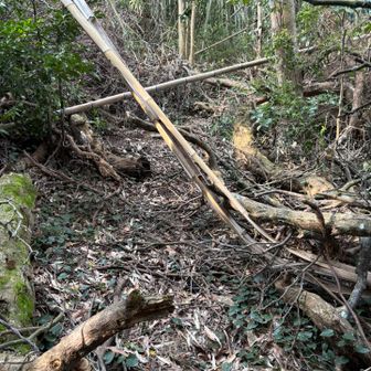 やや荒れている