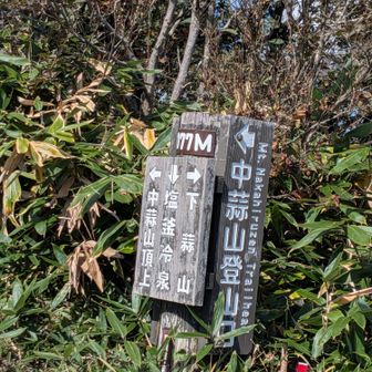 中蒜山登山口への分岐