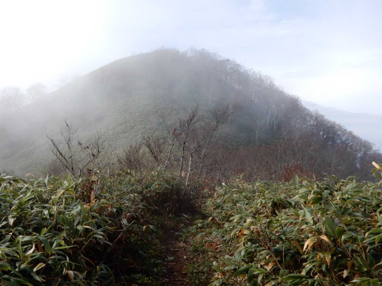 南峰が見えます