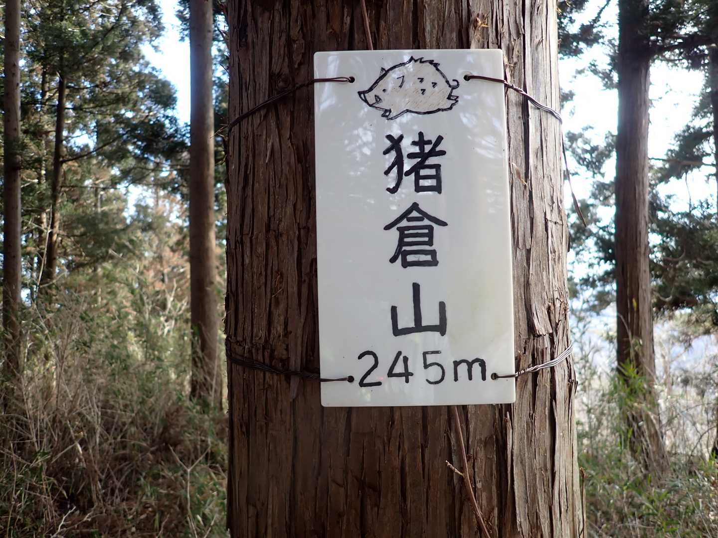 可愛い山名表示板