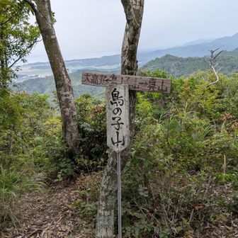 鳥子山❗西が曇ってる😅