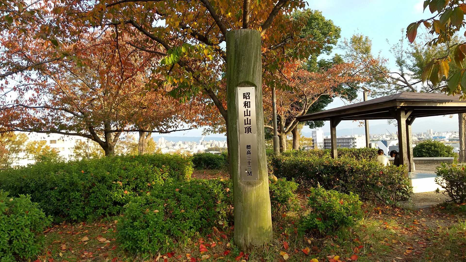 昭和山の写真