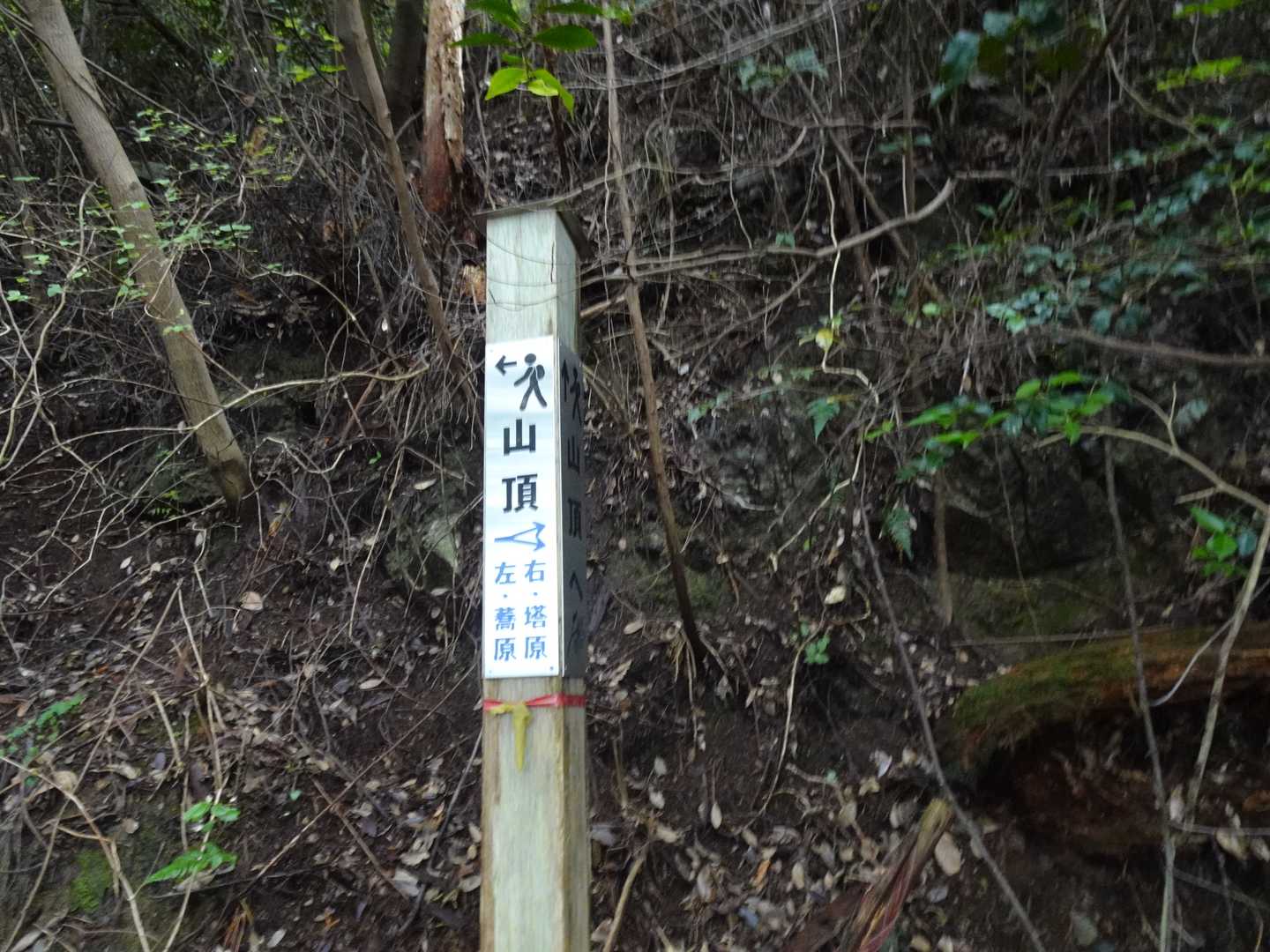 蕎原バス停-枇杷平-葛城山 縦走コースの写真