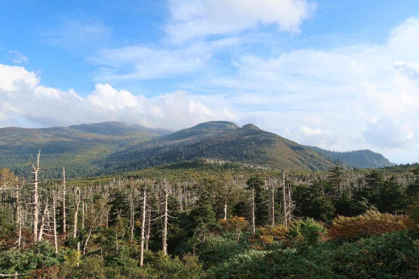 車道から、今日歩いた山達。
不忘山はまたの機会に行こう。