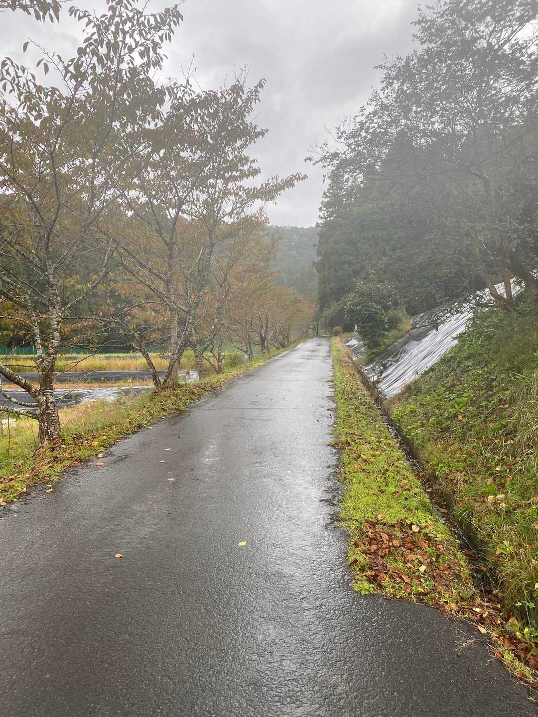 降りてる途中でかなり降ってきました。