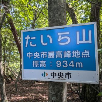 🥰展望は？
