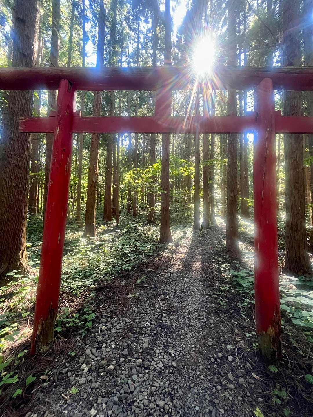 ここから先は神の領域です⛩️